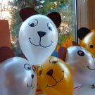 IMG_20201125_141352